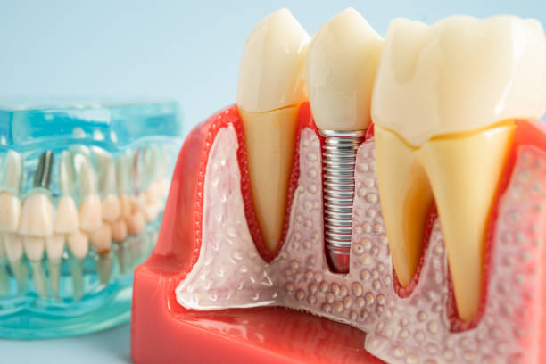 Best Emergency Dental Care  in Greenlawn, NY